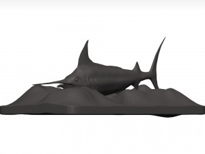 Marlin 3Dモデル