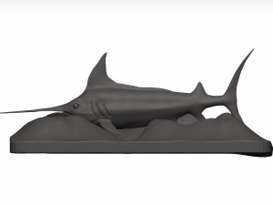 Marlin 3Dモデル