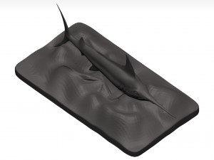Marlin 3Dモデル