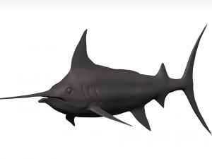 Marlin 3Dモデル