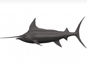Marlin 3Dモデル