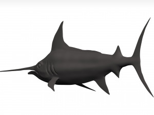 Marlin 3Dモデル