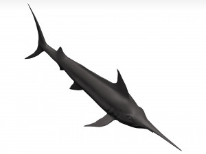 Marlin 3Dモデル