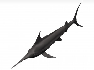 Marlin 3Dモデル
