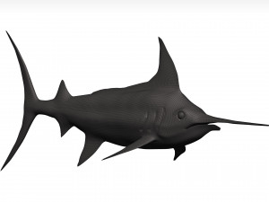 Marlin 3Dモデル