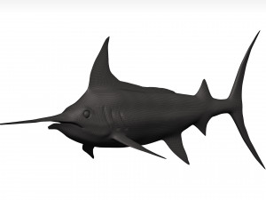 Marlin 3Dモデル