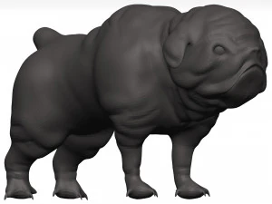 Bulldog 3D Model