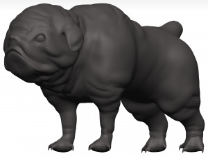 Bulldog 3D मॉडल