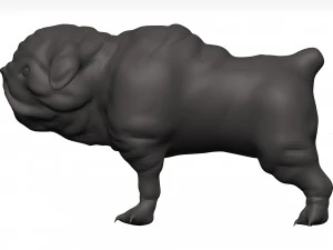 Bulldog 3D Model