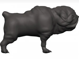 Bulldog 3D Model