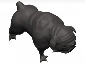 Bulldog 3D Model