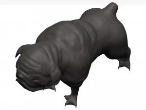 Bulldog 3D Model
