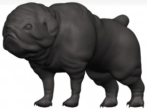 Bulldog 3D Model