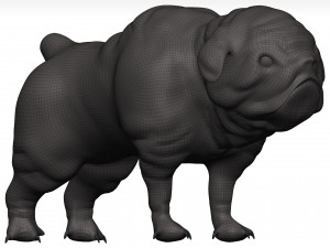 Bulldog 3D मॉडल