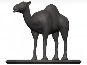 Camel 3D Model