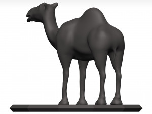Camel 3D 模型