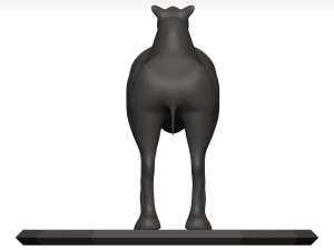 Camel 3D 模型