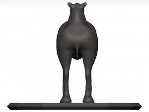 Camel 3D Model