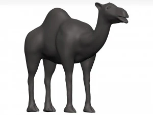 Camel 3D Model
