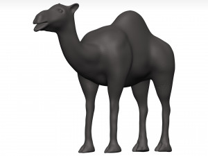 Camel 3D 模型