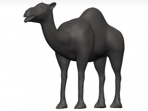 Camel 3D Model