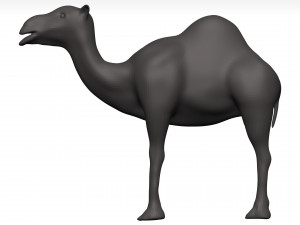 Camel 3D 模型