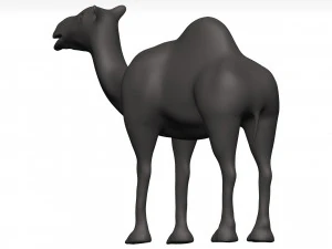 Camel 3D Model