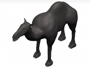 Camel 3D 模型