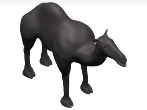 Camel 3D 模型