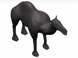 Camel 3D Model