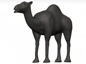 Camel 3D Model