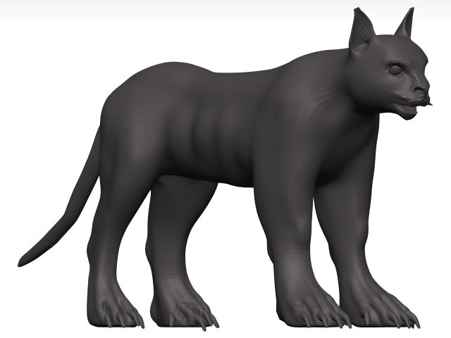 Caracal 3D Model .c4d .max .obj .3ds .fbx .stl .blend 