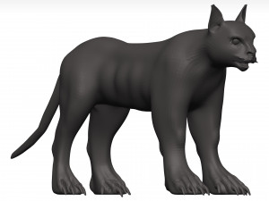 Caracal 3D Model