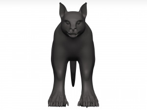 Caracal 3D Model