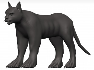 Caracal 3D Model