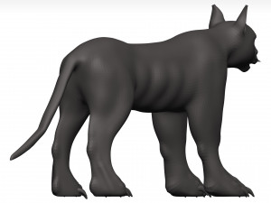 Caracal 3D Model