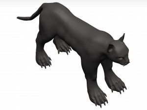 Caracal 3D Model