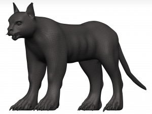 Caracal 3D Model