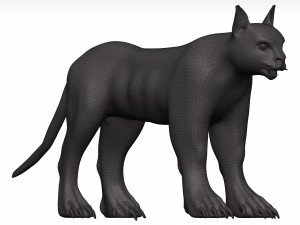 Caracal 3D Model