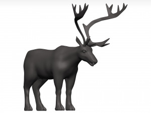 Caribou 3D 模型