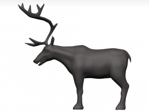 Caribou 3D 模型