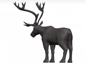 Caribou 3D 模型