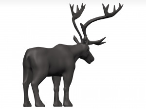 Caribou 3D 模型