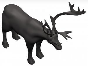Caribou 3D 模型