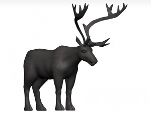 Caribou 3D 模型