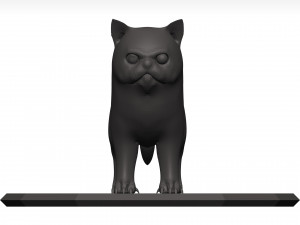 Cat Model 3D