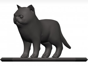 Cat Model 3D