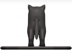 Cat Model 3D