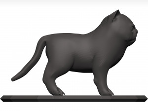 Cat Model 3D