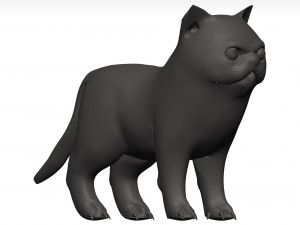 Cat Model 3D